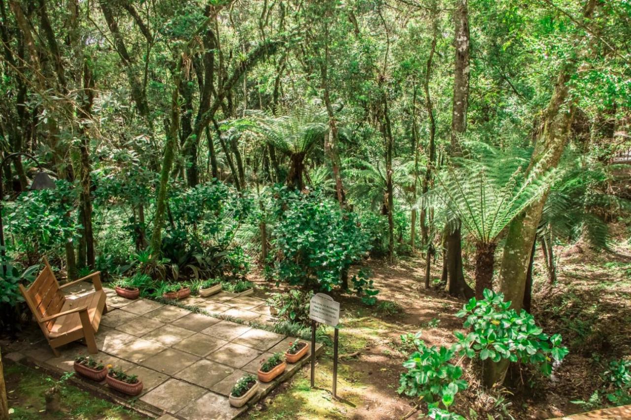 Hotel Pousada Cozumel Sierra Canela Exteriér fotografie